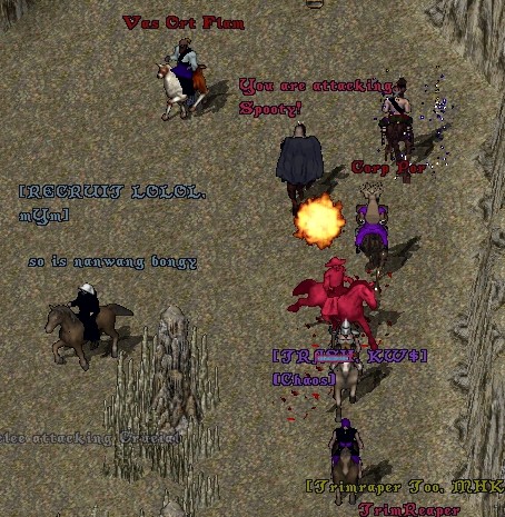 Pic Of the Day for Thursday, June 24, 2010!
Large FFA in destard between various guilds and players!