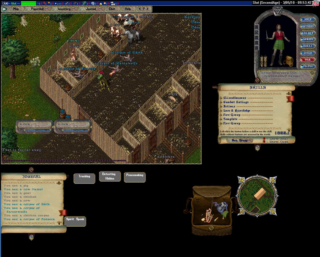 Pic Of the Day for Tuesday, June 29, 2010!
The reason you don't afk provoke in brit stables
