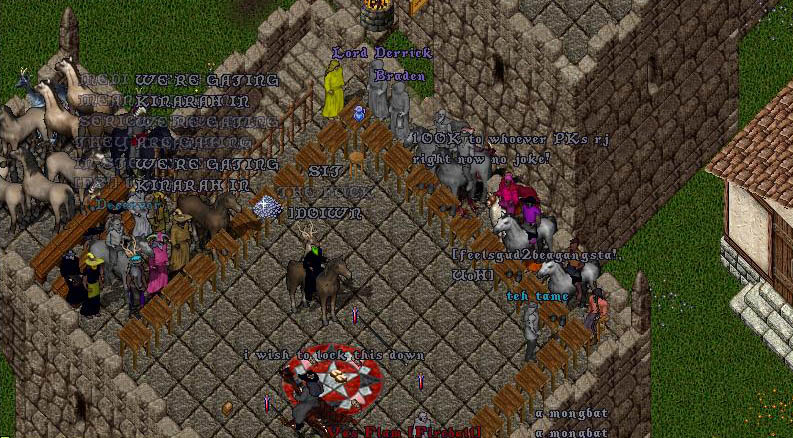 Pic Of the Day for Saturday, April 17, 2010!
A PvP event on top of Repunzel's rooftop drawing quite the crowd.

Who is that in the spectator stands?