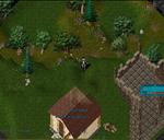 Nicci_2-27_19.04.jpg Thumbnail