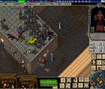 Pic of the day for Monday, April 29, 2013: too many gorrillas