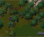 Pic of the day for Friday, April 23, 2010: This fool thought being hidden in the woods was good enough for afk.  He was wrong.