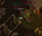 Pic of the day for Sunday, April 28, 2013: HOOWAH SHADOWCLAN!