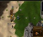 Pic of the day for Thursday, May 2, 2013: Catweasle taming and being bored, again.