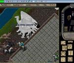 Pic of the day for Monday, August 26, 2013: Sometimes you have to hide behind White Wyrms to survive :D