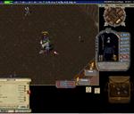 Pic of the day for Sunday, October 13, 2013: pking in town lol