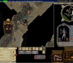 Pic of the day for Saturday, October 12, 2013: greys op die