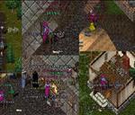 Pic of the day for Thursday, September 5, 2013: Zuwoko, thank you for the many lol's, gained resist, and wrestle points yesterday evening.  If you ever need pvp advice, ask your new 1x friend Amel.  Back to working my skills!