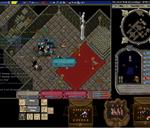 Pic of the day for Friday, September 13, 2013: N-R here again  all most die