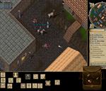 Pic of the day for Monday, April 26, 2010: Ah! Finaly, spring is here, with all its beauties. Sun shining, flowers blooming, birds singing... Some folks just can't resist the hormones.