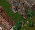 Pic of the day for Friday, October 4, 2013: Brutality, this is the result to what happens when you afk on your steps.