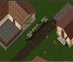 Pic of the day for Tuesday, November 26, 2013: 247 about to take over the IDOC!!!!!!