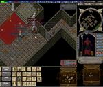 Pic of the day for Wednesday, December 25, 2013: nice day for pking lol
