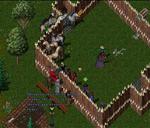 Pic of the day for Tuesday, May 4, 2010: UoH tourny at mym arena