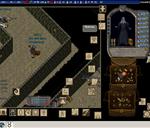 Pic of the day for Saturday, January 11, 2014: Nice dress...