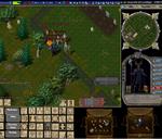 Pic of the day for Monday, February 10, 2014: newbie marcoing