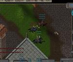 Pic of the day for Friday, February 14, 2014: A Crazed Orphan adventuring through Brit!