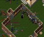 Pic of the day for Tuesday, February 25, 2014: friendly duels at mYm!