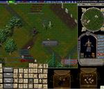 Pic of the day for Sunday, February 23, 2014: hello blue
