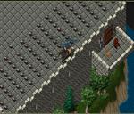 Pic of the day for Saturday, March 29, 2014: Sheepy sheepy