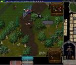 Pic of the day for Friday, January 2, 2015: good times