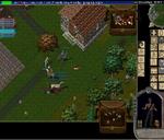 Pic of the day for Monday, July 18, 2016: this was funny two reds run in to ganka but i'm here lol