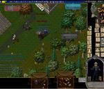 Pic of the day for Friday, July 15, 2016: fight at gy