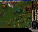 Pic of the day for Thursday, July 14, 2016: other fight gy
