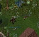 Pic of the day for Wednesday, June 1, 2016: Screech still dies after recalling. You go Shiatsu!