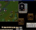 Pic of the day for Monday, June 27, 2016: hunting and blue drop in 