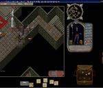 Pic of the day for Monday, January 16, 2017: lich room pking 