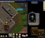 Pic of the day for Thursday, January 12, 2017: pking wind