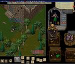 Pic of the day for Monday, January 9, 2017:  all pots/fight GF and video 