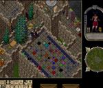 Pic of the day for Saturday, December 17, 2016: UOSA's Rockefeller Tree