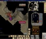 Pic of the day for Friday, February 17, 2017: PKING IN WIND 
