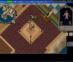 Pic of the day for Sunday, February 12, 2017: Your move hombre!