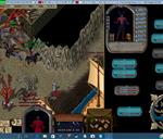 Pic of the day for Sunday, December 25, 2016: Killer Land Dolphin