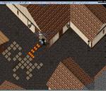 Pic of the day for Sunday, May 23, 2010: Alright Alright, here take my wallet...