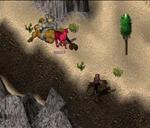 Pic of the day for Monday, May 24, 2010: Never turn your back on a purple llama!