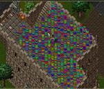 Pic of the day for Wednesday, June 28, 2017: Happy Easter UOSA!