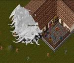 Pic of the day for Thursday, March 8, 2018: No Trick or Treating Here!