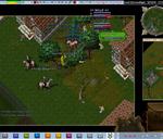 By Anonymous, Submitted: Monday, May 24, 2010: Some field fighting