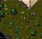 Pic of the day for Friday, June 25, 2010: solo Biate pwnage