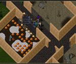 Pic of the day for Friday, September 3, 2010: No clue how they got those items behind the fence at the Moonglow Zoo.