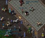 Pic of the day for Friday, August 20, 2010: Another day at Brittain West Bank.