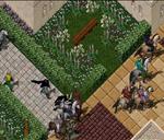 Pic of the day for Saturday, August 21, 2010: On the march to save Nujelm