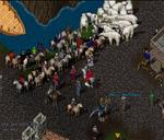 Pic of the day for Friday, February 26, 2010: Weekly dungeon hunt!