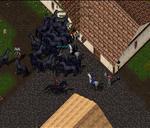 Pic of the day for Saturday, September 25, 2010: i want an unpure long mane