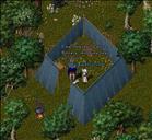 Pic of the day for Monday, October 25, 2010: Ultima is freed from her chains!