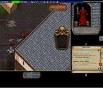 Pic of the day for Tuesday, November 9, 2010: Stealth archers are back